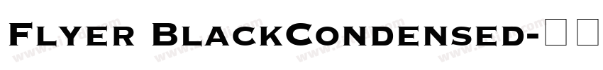Flyer BlackCondensed字体转换